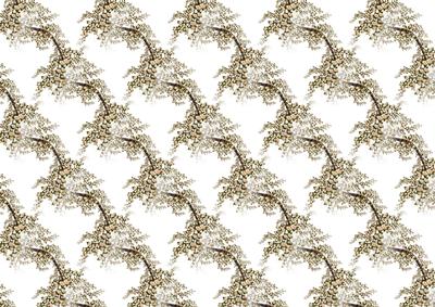 Cherry Blossom Backing Paper