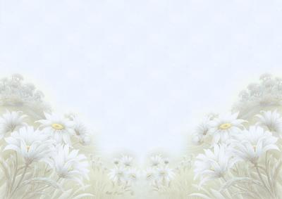 Fields of Flowers Soft Faded Paper