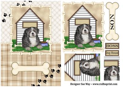 Shichon Puppy Dog House