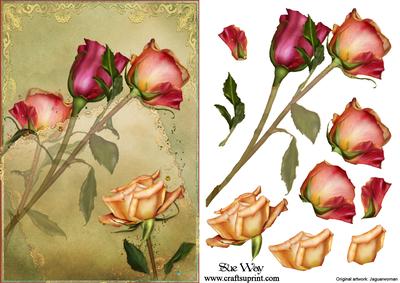 Peach and Ruby Roses on Soft Lace Card Front