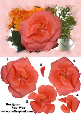 Orange Rose Bloom Card Front and Decoupage