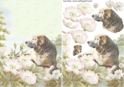 Golden Retriever in a Flower Meadow Decoupage