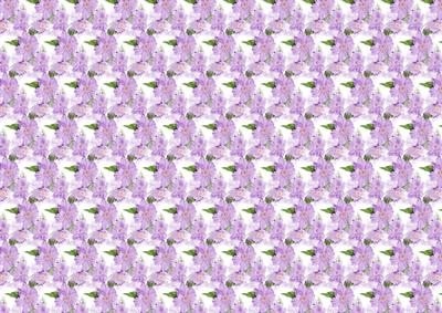 Pretty Purple Flowers Backing Paper