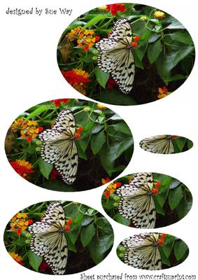 Butterfly Oval Pyramid