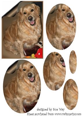 Happy Golden Retriever Dog Pyramid