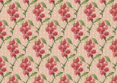 Sweet Peas on Fabric Backing Paper