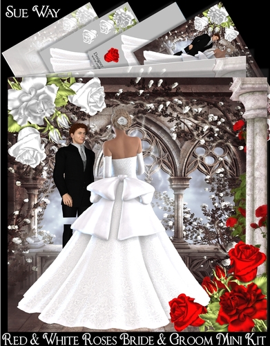 Red & White Roses Bride & Groom Mini Kit
