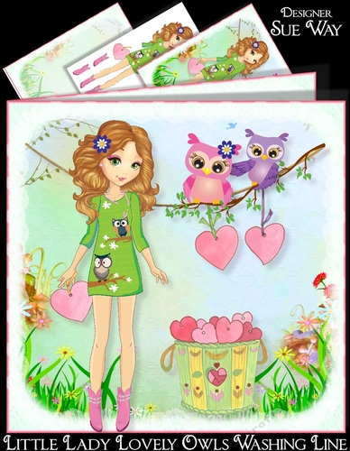 Little Lady Lovely Owls Washing Line Mini Kit