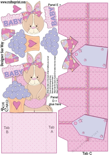 New Baby Girl Bunny Box Card