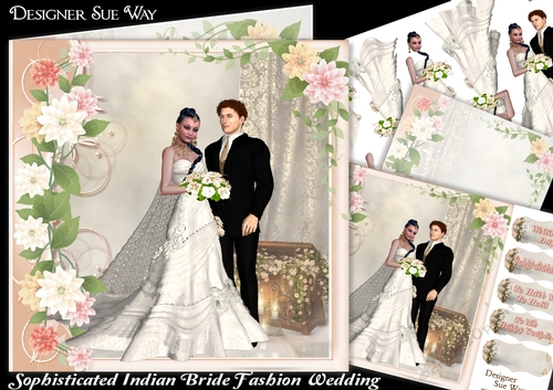 Sophisticated Indian Bride Fashion Wedding Mini Kit
