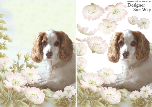 Cocker Spaniel in a Flower Meadow A5 Card Front and Decoupage
