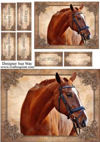 Beautiful Horse Card Front, Topper & Sentiment Tags