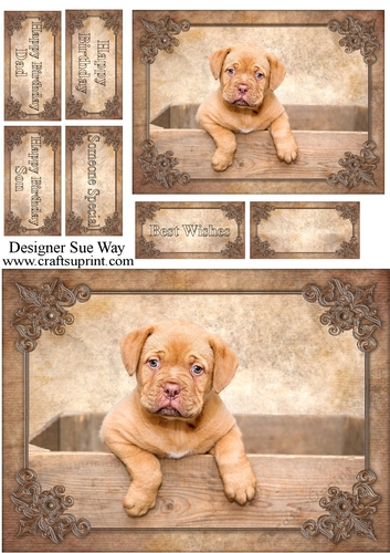 Cute Puppy in a Box Card Front, Topper & Sentiment Tags