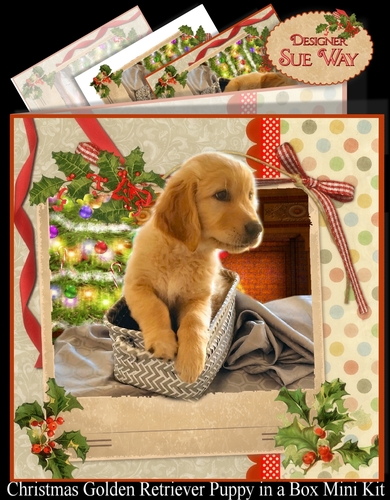 Christmas Golden Retriever Puppy in a Box Mini Kit