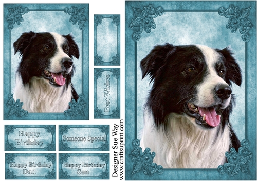 Border Collie Card Front, Topper & Sentiment Tags