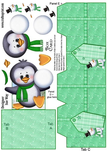 Cute Little Snowball Penguin Box Card