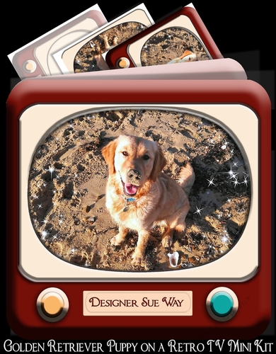 Golden Retriever Puppy on a Retro TV Mini Kit