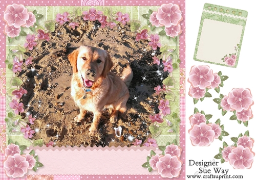 Golden Retriever Puppy on a Beach with Flower Frame
