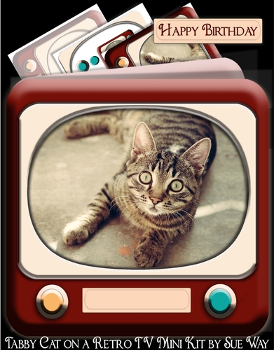 Tabby Cat on a Retro TV Mini Kit
