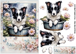 Border Collie Puppy in a Bucket A5 Card Front and Decoupage