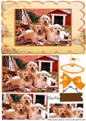 Autumn Puppies Card Front