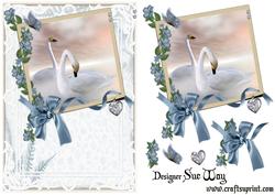 Love and Romance Swans