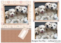 Puppy Love