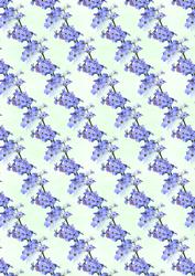 Forget-me-nots Backing Paper