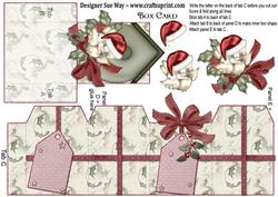 Christmas Robin Box Card