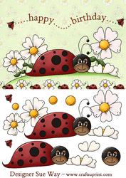 Lady Bug Birthday Card Front and Decoupage
