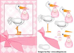 Special Delivery New Baby Girl Light Skin