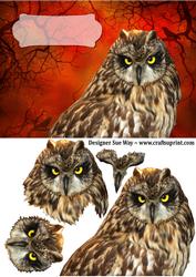 Night Owl Card Front
