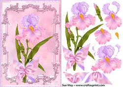 Pink and Lilac Framed Iris Card Front & Decoupage