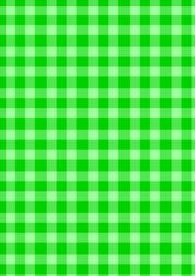 Green Gingham Backing Paper