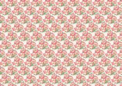 Wild Poppies Backing Paper