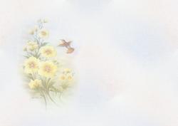 Humming Bird and Yellow Flowers Soft Insert