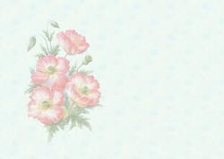 Wild Poppies Soft Faded Insert