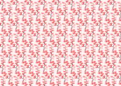 Pink Cherry Blossom Backing Paper