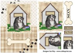 Shichon Puppy Dog House