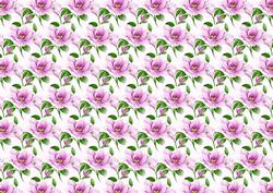 Pink Magnolia Backing Paper