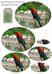 Parrot Elipse