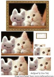 White Kitten & Teddy