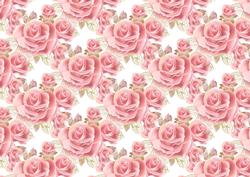 Plump Pink Roses Backing Paper