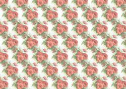 Poppies Vellum Backing Paper