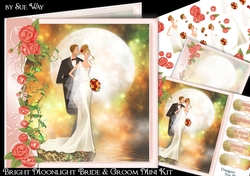 Bright Moonlight Bride & Groom Mini Kit