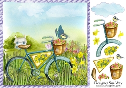 Flower Basket Bike in the Country