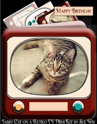 Tabby Cat on a Retro TV Mini Kit