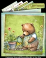Gardening Bear and Flowers Mini Kit