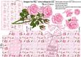 Pink Roses Mothers Day Box Card