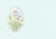 Pink and White Poppies Soft Insert